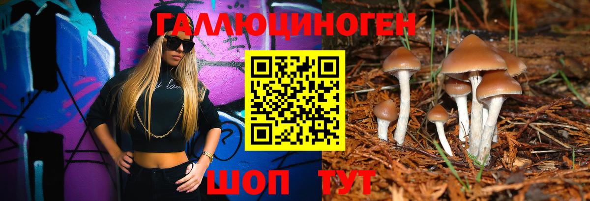 Псилоцибиновые грибы Psilocybine cubensis Строитель