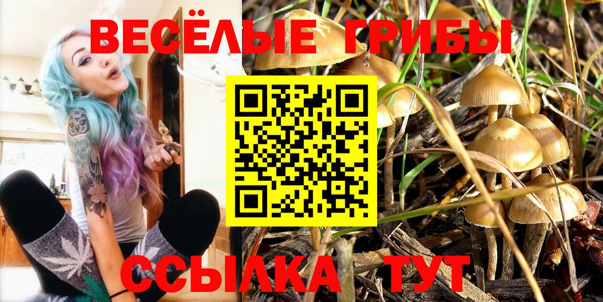 Галлюциногенные грибы MAGIC MUSHROOMS  Псилоцибиновые грибы Magic Shrooms  Строитель  Вход с VPN 